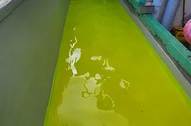 防水工程檢測-浸水測試
